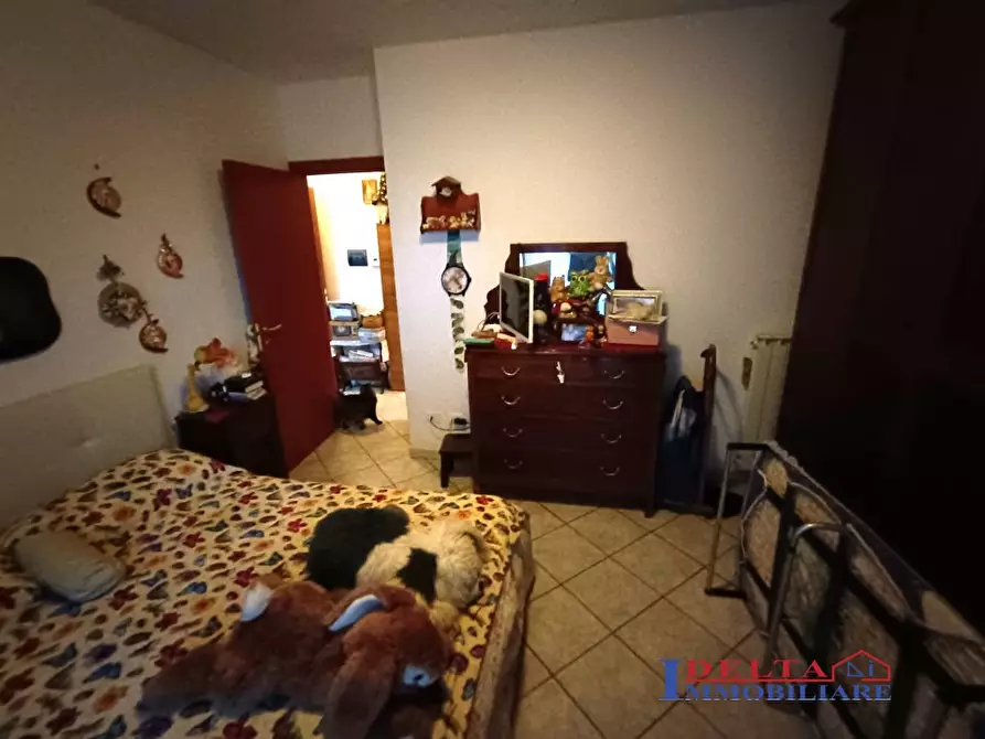 Immagine 5 di Appartamento in vendita  a Rosignano Marittimo