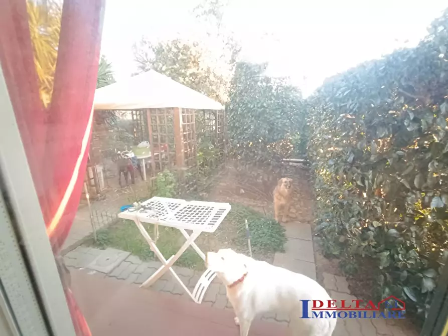 Immagine 9 di Appartamento in vendita  a Rosignano Marittimo