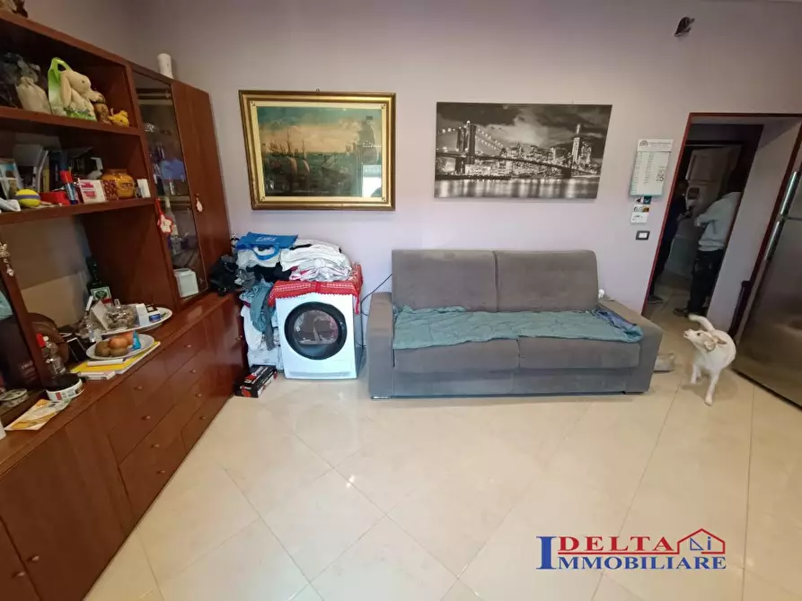 Immagine 3 di Appartamento in vendita  a Rosignano Marittimo