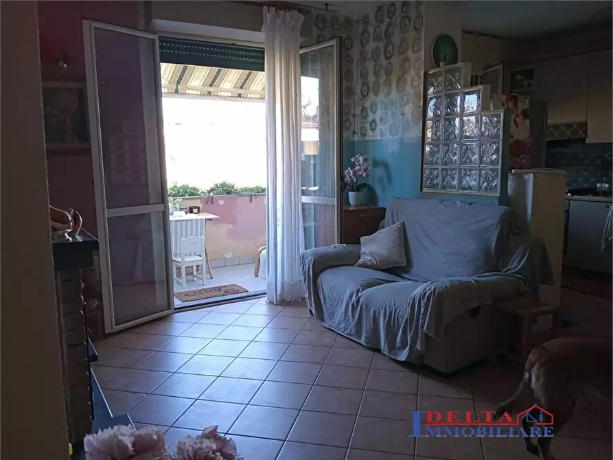 Immagine 2 di Appartamento in vendita  a Rosignano Marittimo
