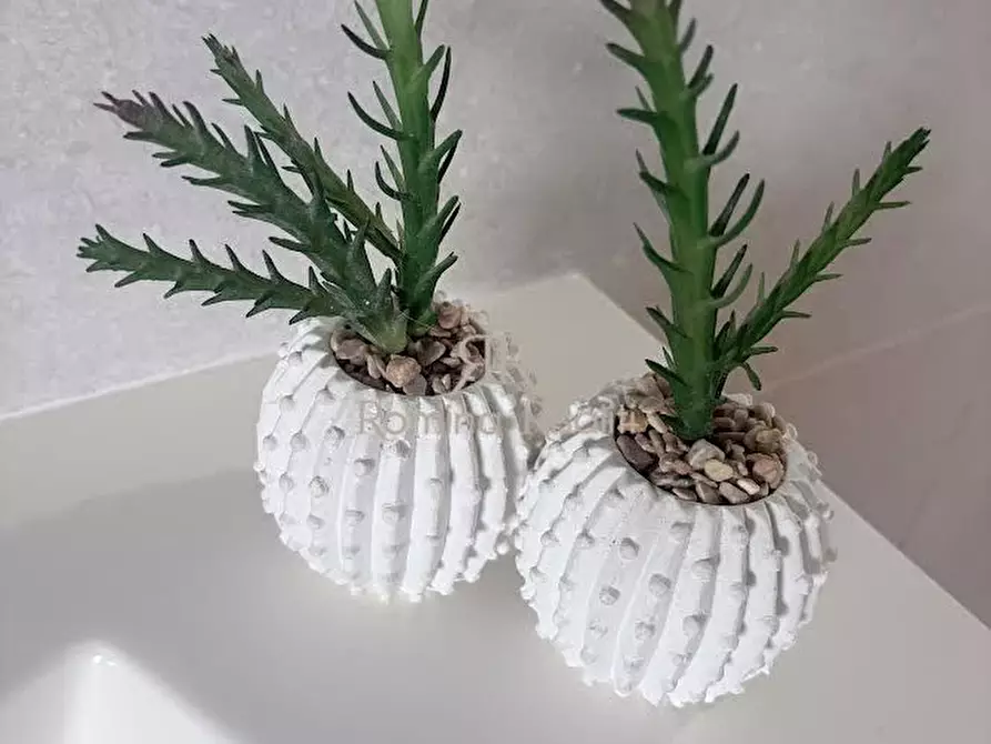 Immagine 8 di Appartamento in vendita  a Livorno