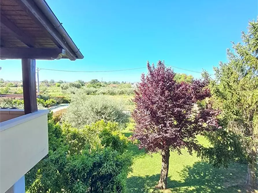 Immagine 8 di Appartamento in vendita  a Massarosa