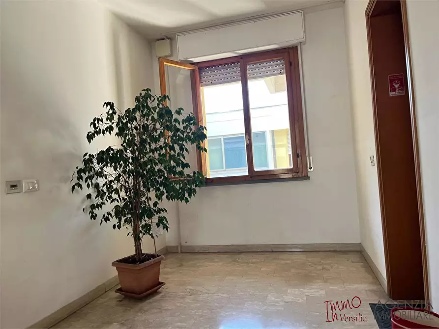 Immagine 6 di Appartamento in vendita  a Viareggio