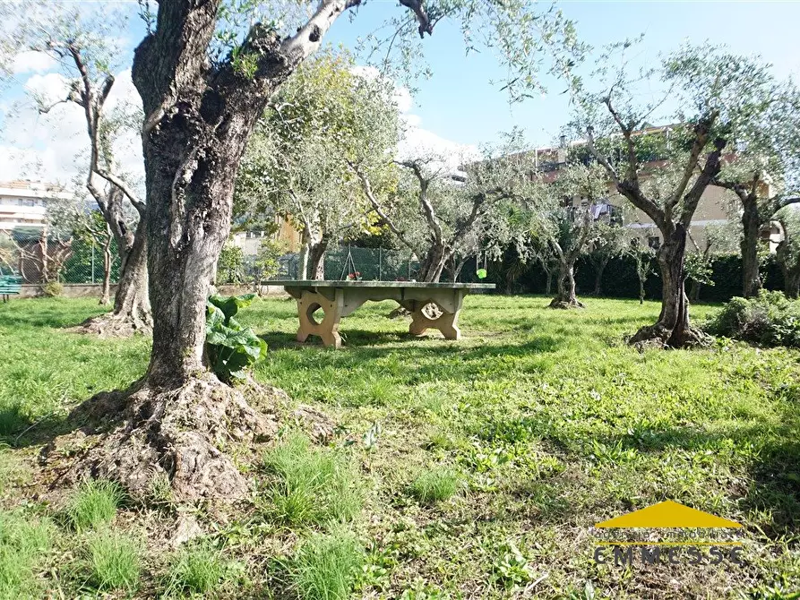 Immagine 2 di Appartamento in vendita  a Massa