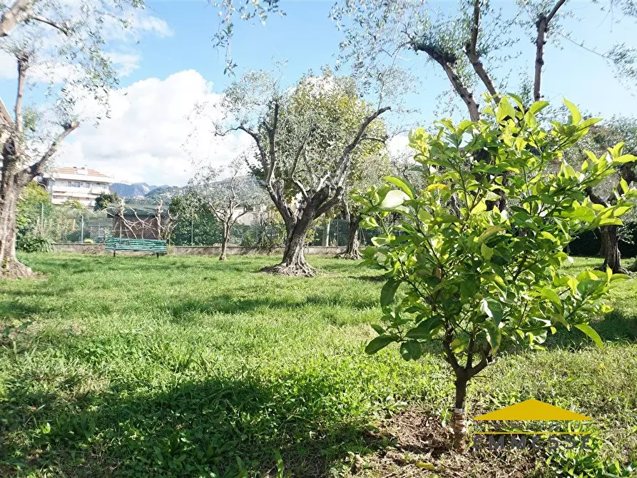 Immagine 3 di Appartamento in vendita  a Massa