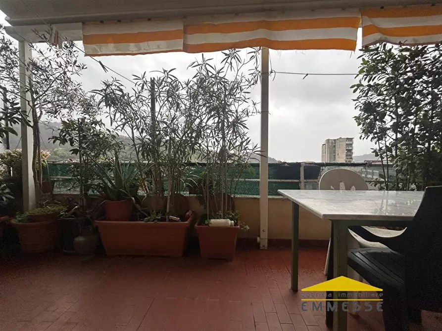 Immagine 1 di Appartamento in vendita  a Carrara