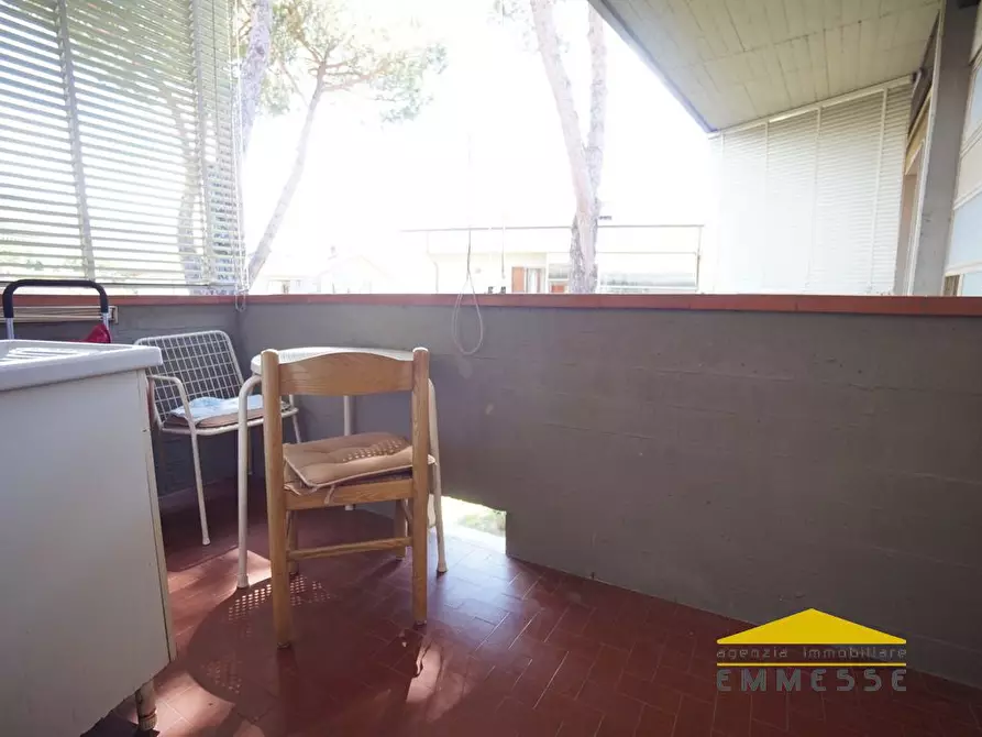 Immagine 2 di Appartamento in vendita  a Massa