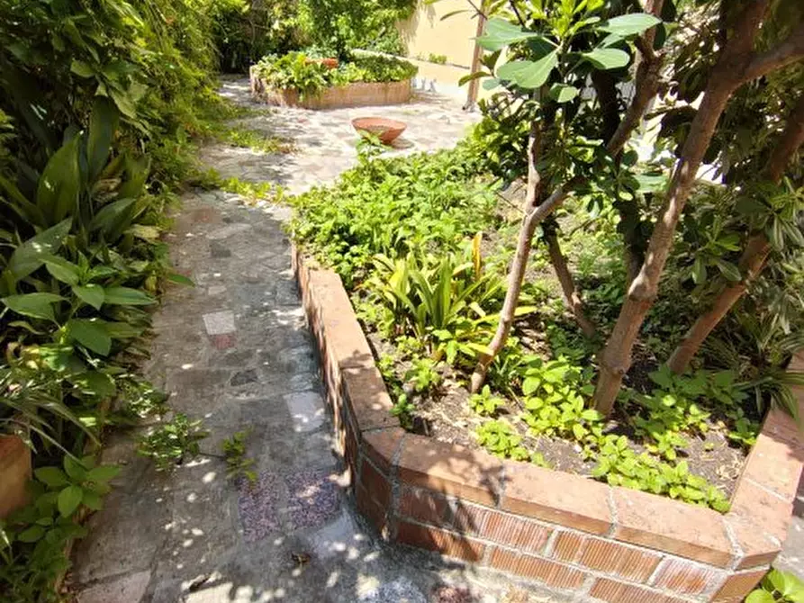 Immagine 3 di Appartamento in vendita  a Carrara