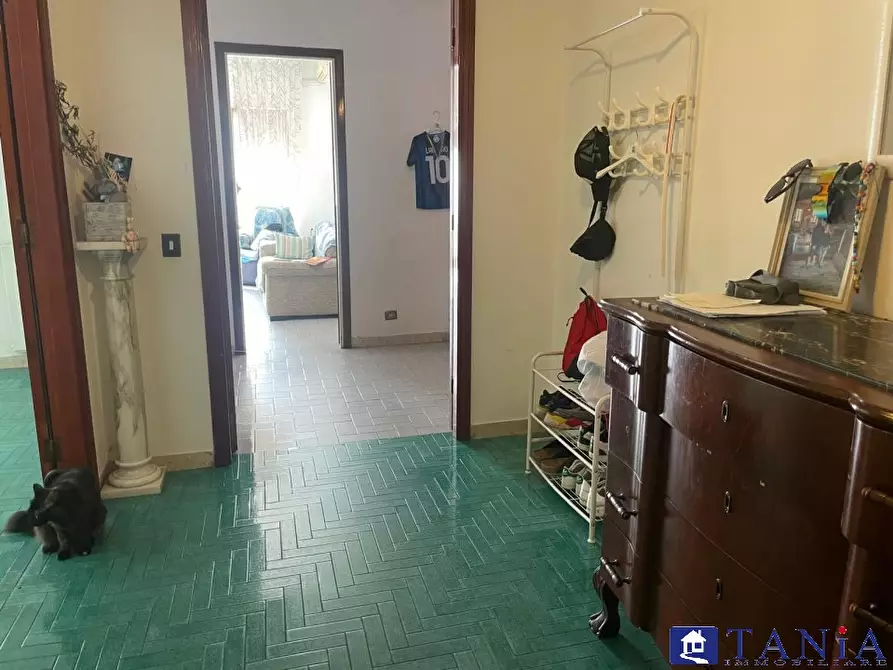 Immagine 7 di Appartamento in vendita  1 a Carrara