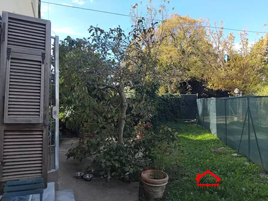 Immagine 5 di Appartamento in vendita  a Massa