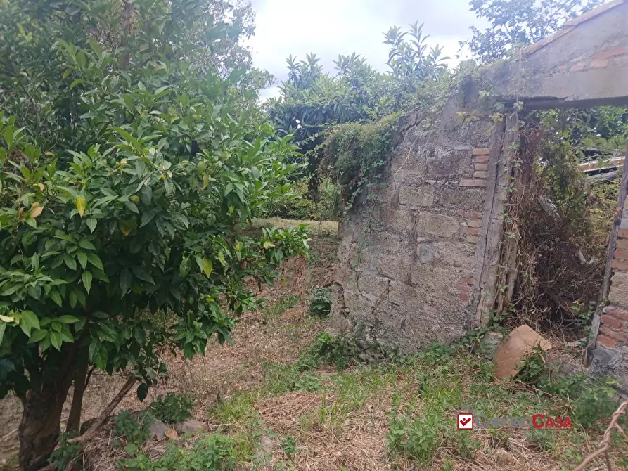 Immagine 9 di Appartamento in vendita  a Pace Del Mela