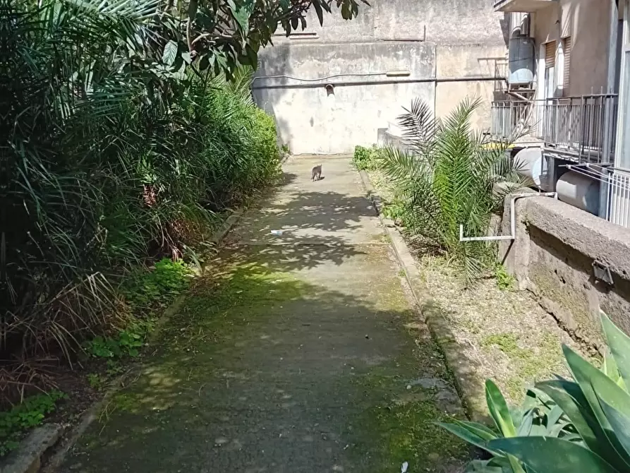 Immagine 8 di Appartamento in vendita  a Messina