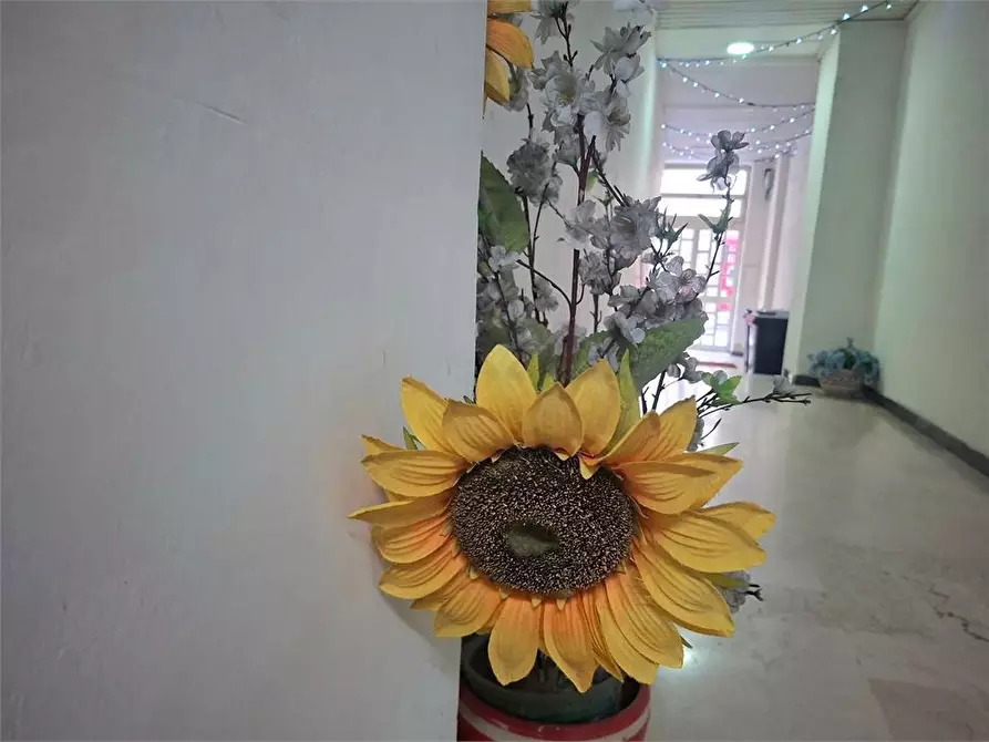 Immagine 4 di Appartamento in vendita  a Torre Annunziata