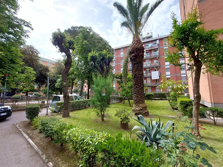 Immagine 1 di Appartamento in vendita  21 a Napoli