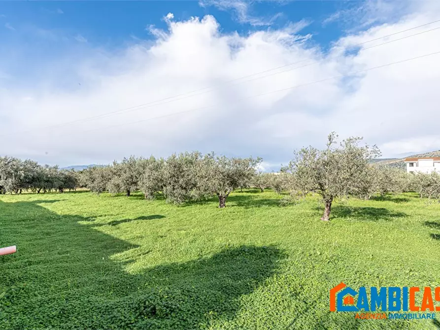 Immagine 8 di Appartamento in vendita  a Palermo