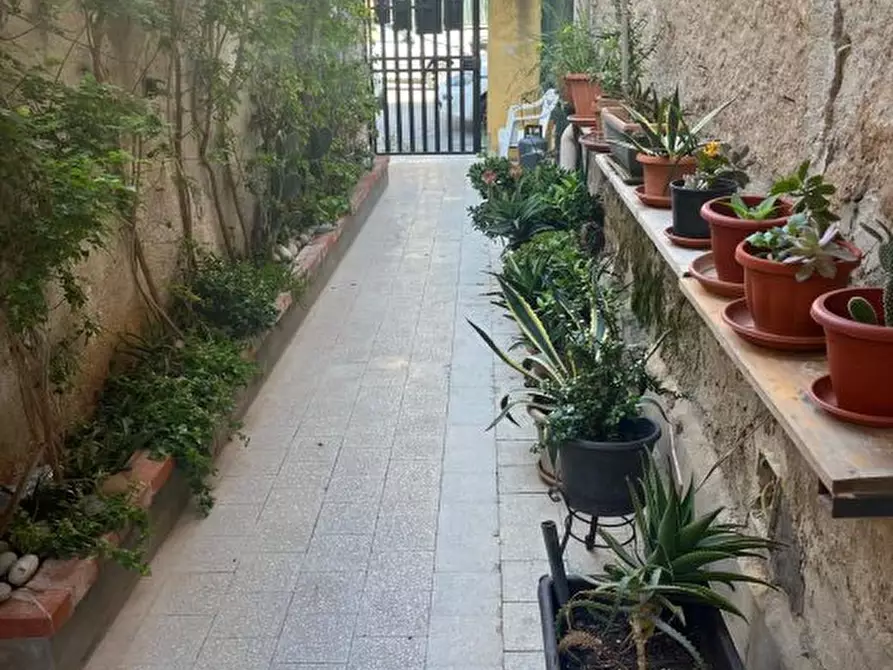 Immagine 3 di Appartamento in vendita  a Palermo