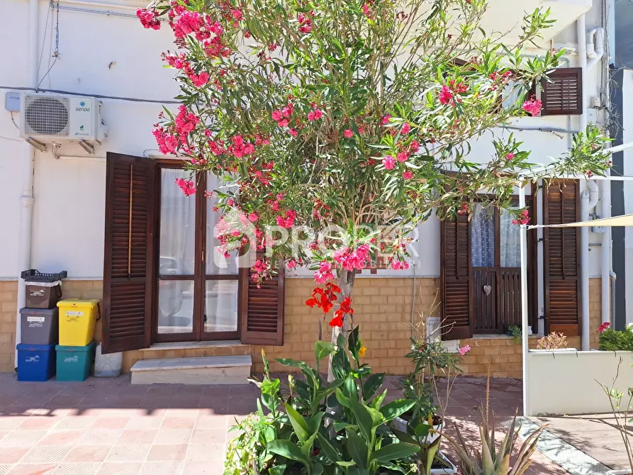 Immagine 10 di Appartamento in vendita  a Terrasini