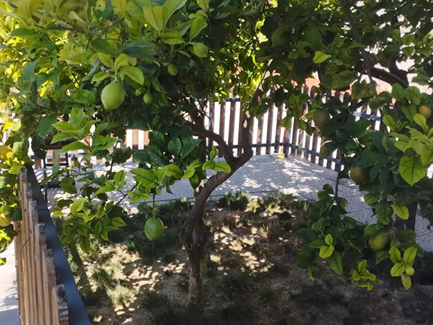 Immagine 7 di Appartamento in vendita  a Pescara