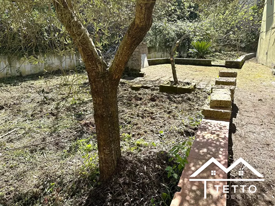 Immagine 8 di Appartamento in vendita  27 a Cantalupo In Sabina