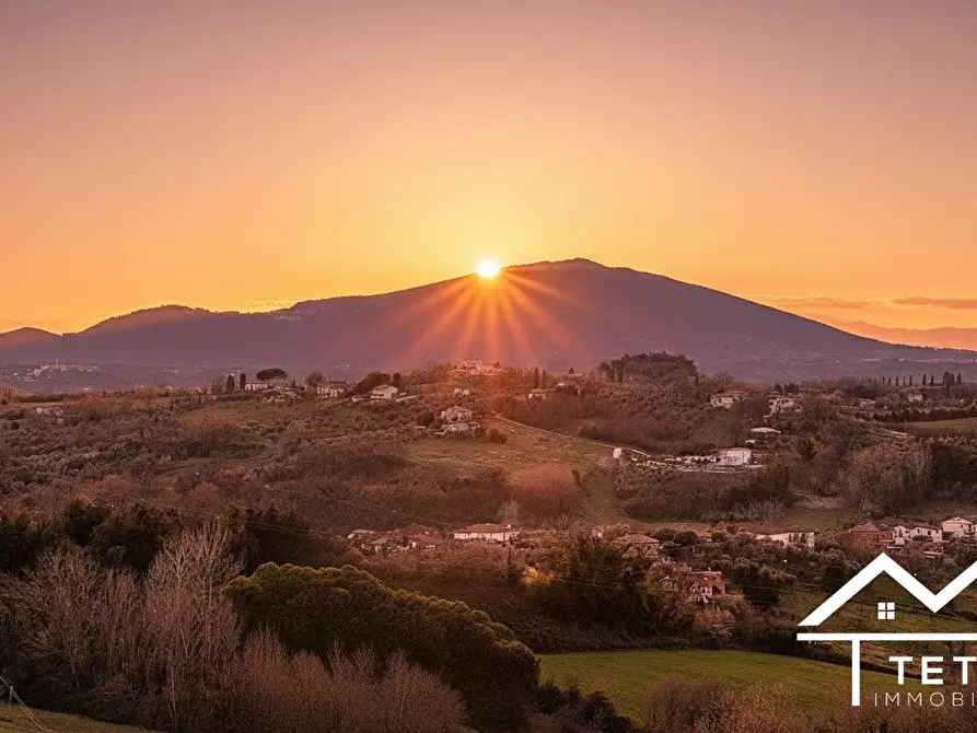 Immagine 4 di Appartamento in vendita  23 a Cantalupo In Sabina