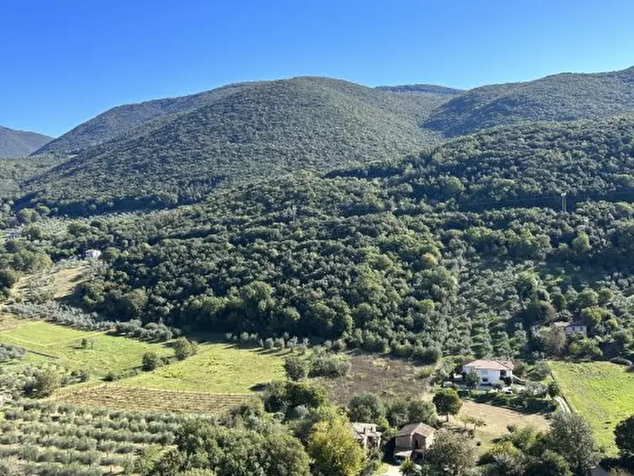 Immagine 8 di Appartamento in vendita  6 a Casperia