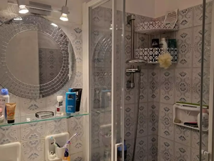 Immagine 8 di Appartamento in vendita  a Ortovero