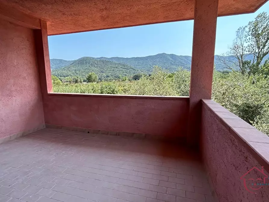 Immagine 10 di Appartamento in vendita  174 a Villanova D'albenga