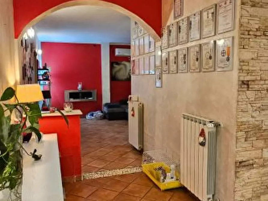 Immagine 3 di Appartamento in vendita  a Colle Di Val D'elsa