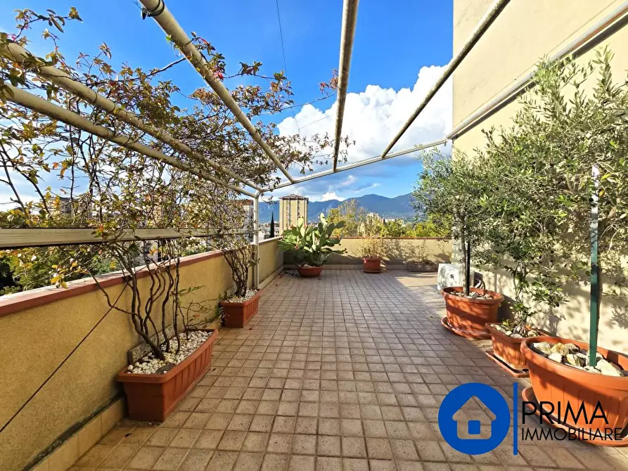 Immagine 9 di Appartamento in vendita  a Terni