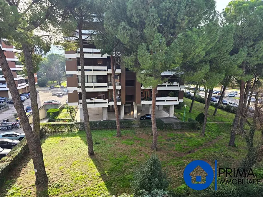 Immagine 3 di Appartamento in vendita  a Terni