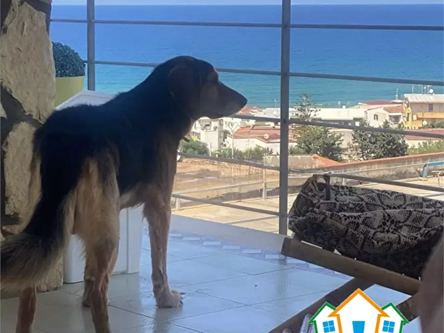 Immagine 3 di Appartamento in vendita  a Alcamo