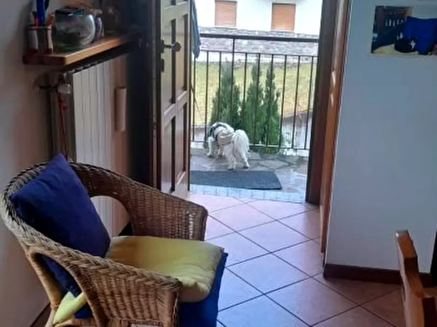 Immagine 10 di Appartamento in vendita  3 a Gandellino