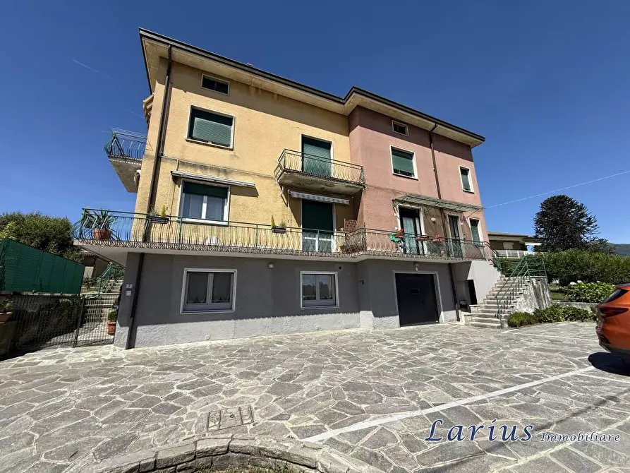 Immagine 3 di Appartamento in vendita  11 a Monguzzo