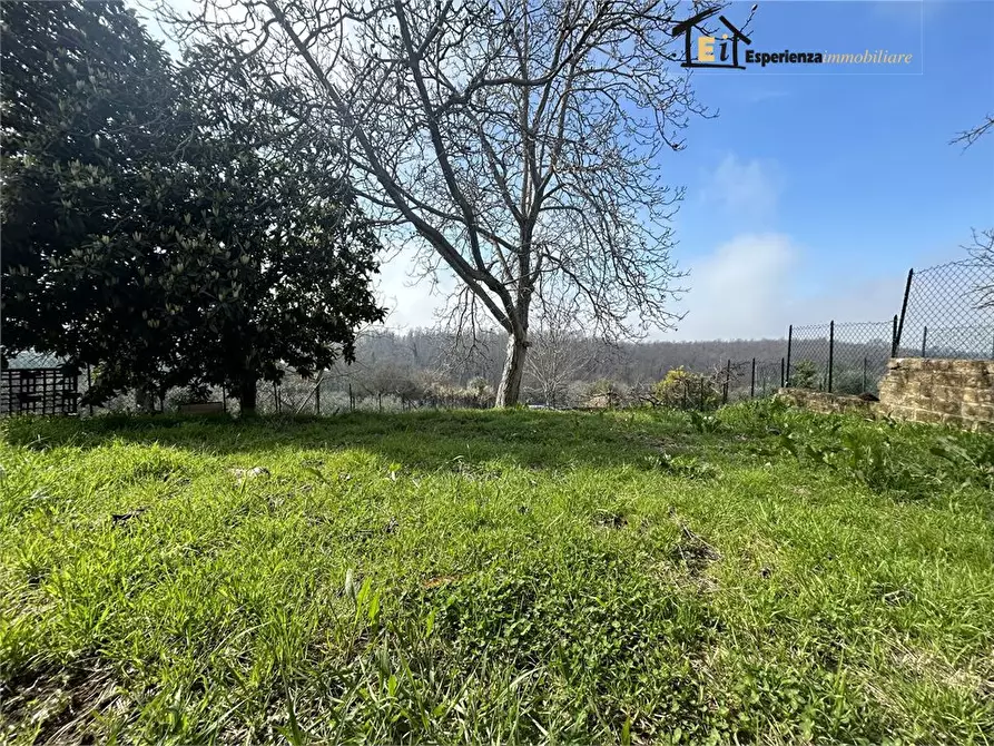 Immagine 7 di Appartamento in vendita  a Forano