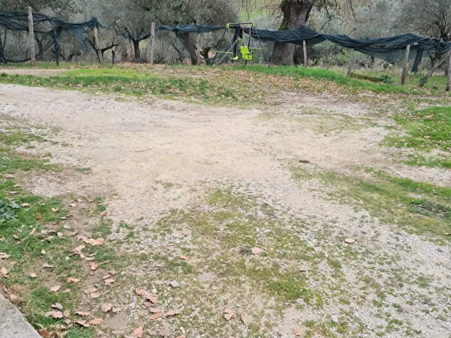 Immagine 8 di Appartamento in vendita  a Montopoli Di Sabina