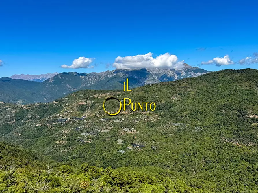 Immagine 4 di Appartamento in vendita  1 a Baiardo