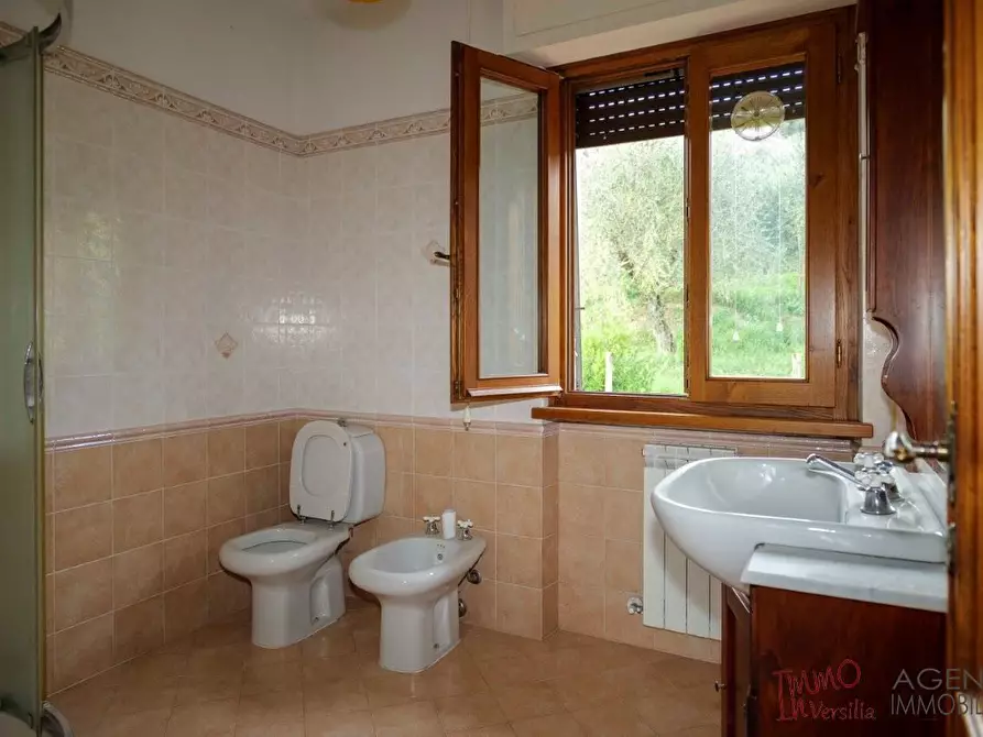 Immagine 9 di Appartamento in vendita  a Massarosa