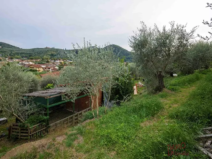 Immagine 3 di Appartamento in vendita  a Massarosa