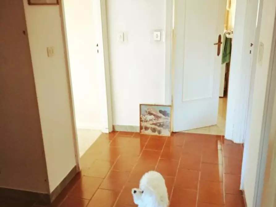 Immagine 4 di Appartamento in vendita  a Ameglia