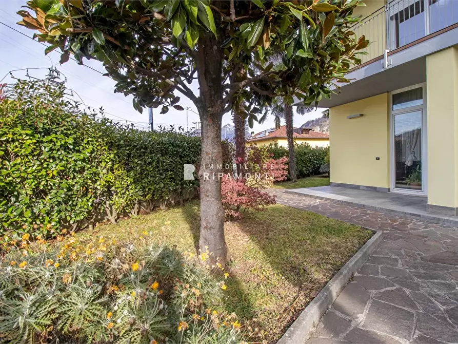 Immagine 3 di Appartamento in vendita  1 a Vercurago
