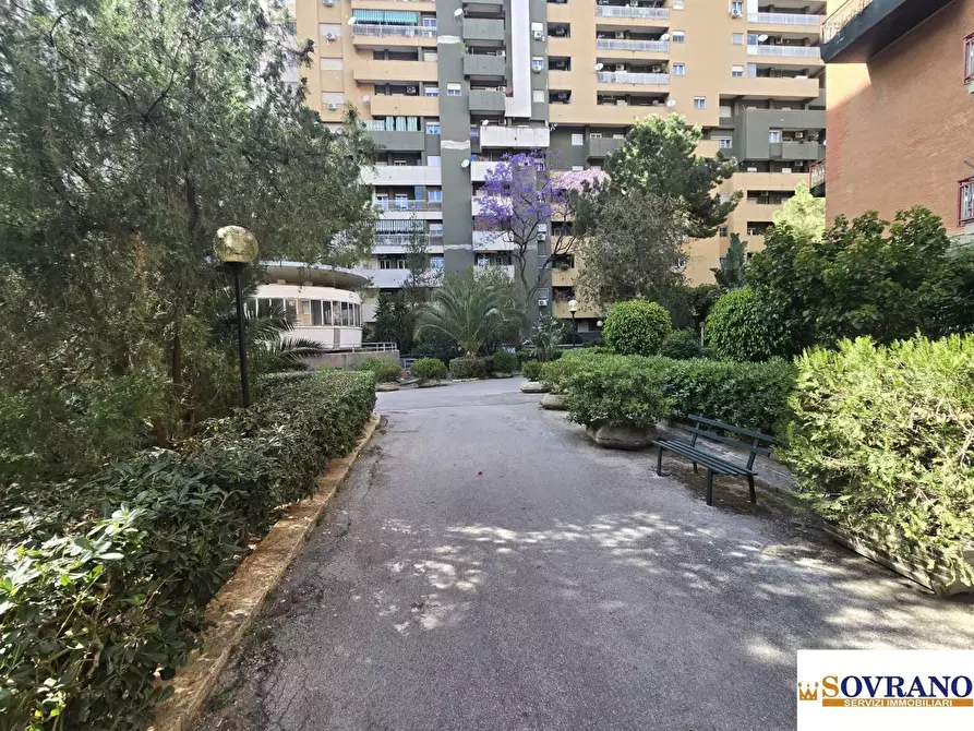 Immagine 3 di Appartamento in vendita  81 a Palermo