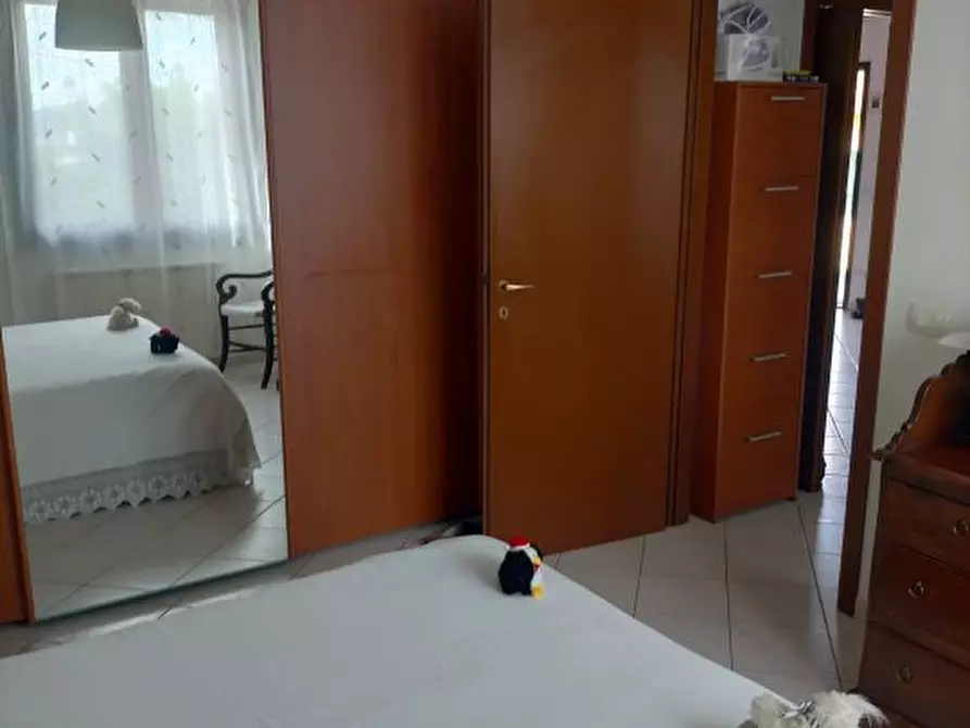 Immagine 5 di Appartamento in vendita  a Calcinaia