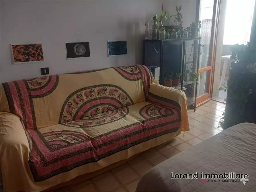 Immagine 7 di Appartamento in vendita  a Pisa