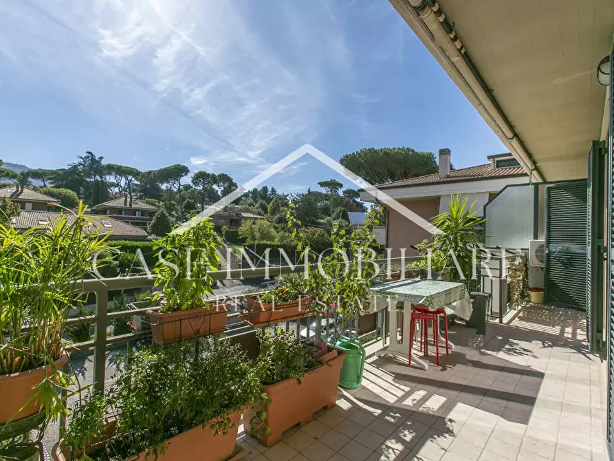 Immagine 1 di Appartamento in vendita  a Grottaferrata