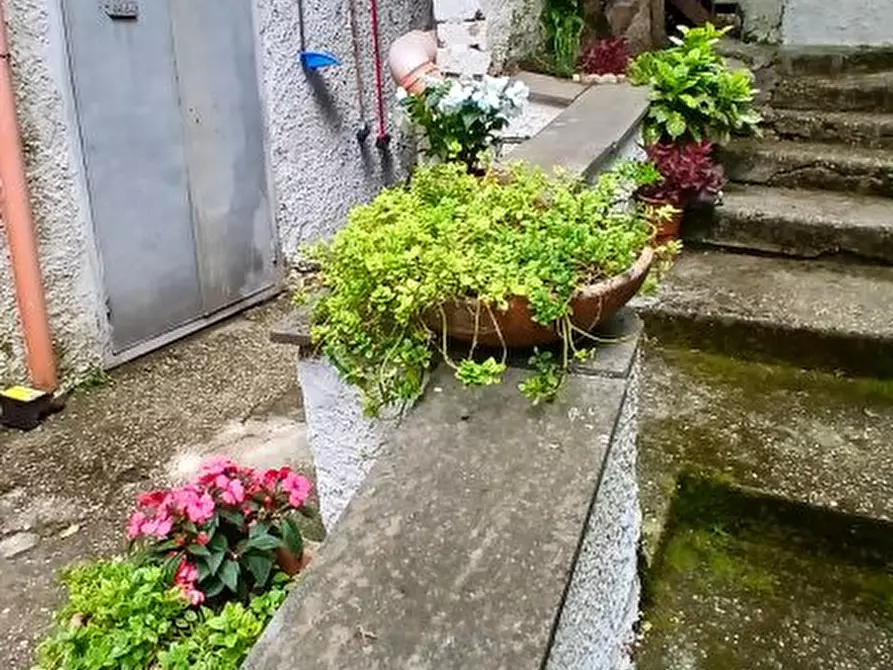 Immagine 4 di Appartamento in vendita  a Roma