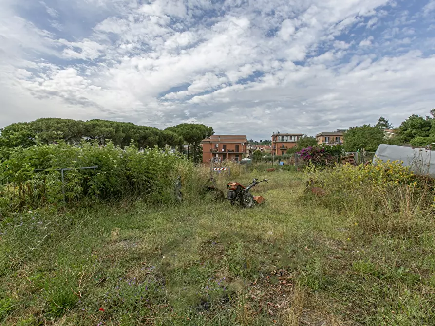 Immagine 4 di Appartamento in vendita  a Formello