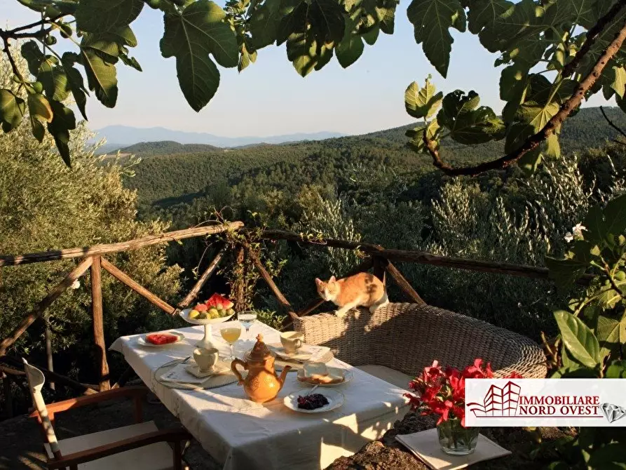 Immagine 9 di Appartamento in vendita  20 a Monticiano