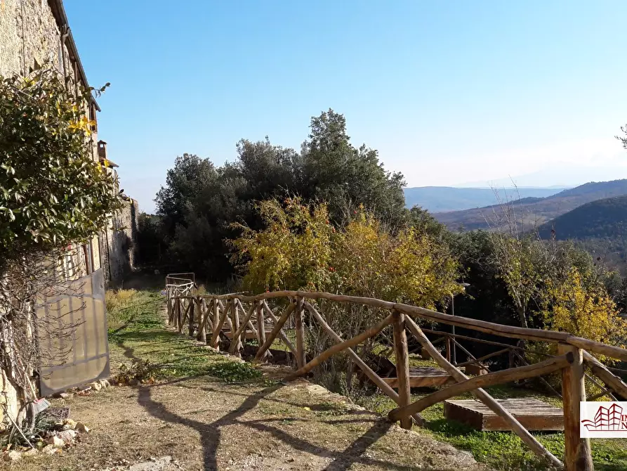 Immagine 4 di Appartamento in vendita  20 a Monticiano