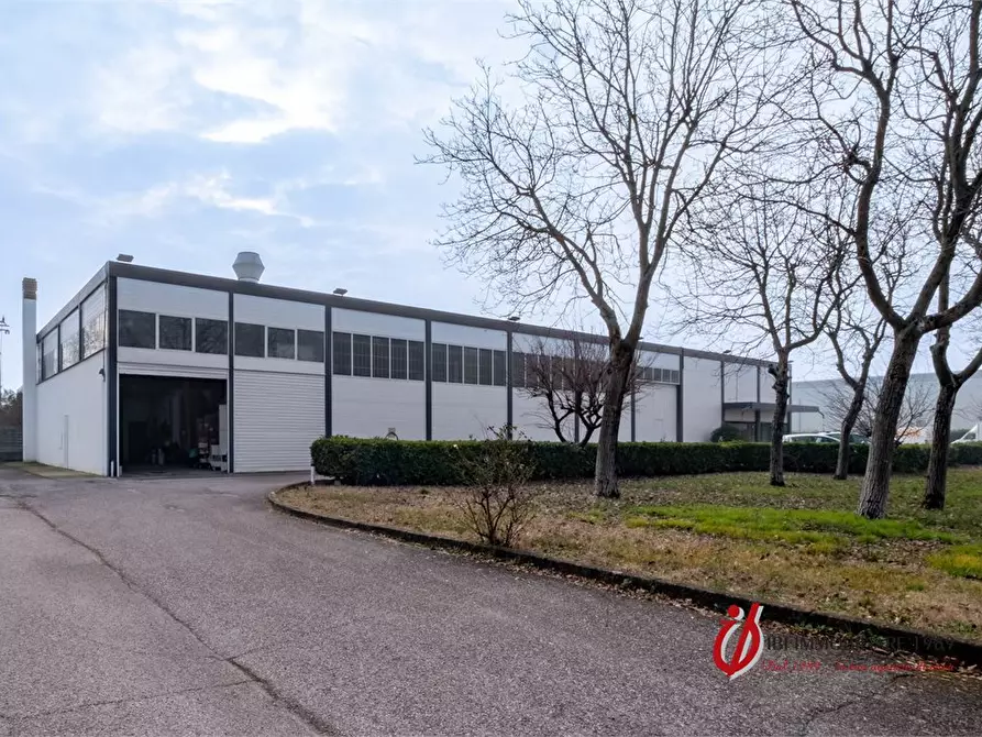 Immagine 3 di Capannone industriale in vendita  1/B a Nogarole Rocca