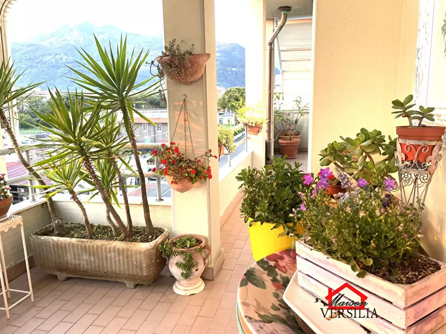 Immagine 3 di Attico in vendita  113 a Massa